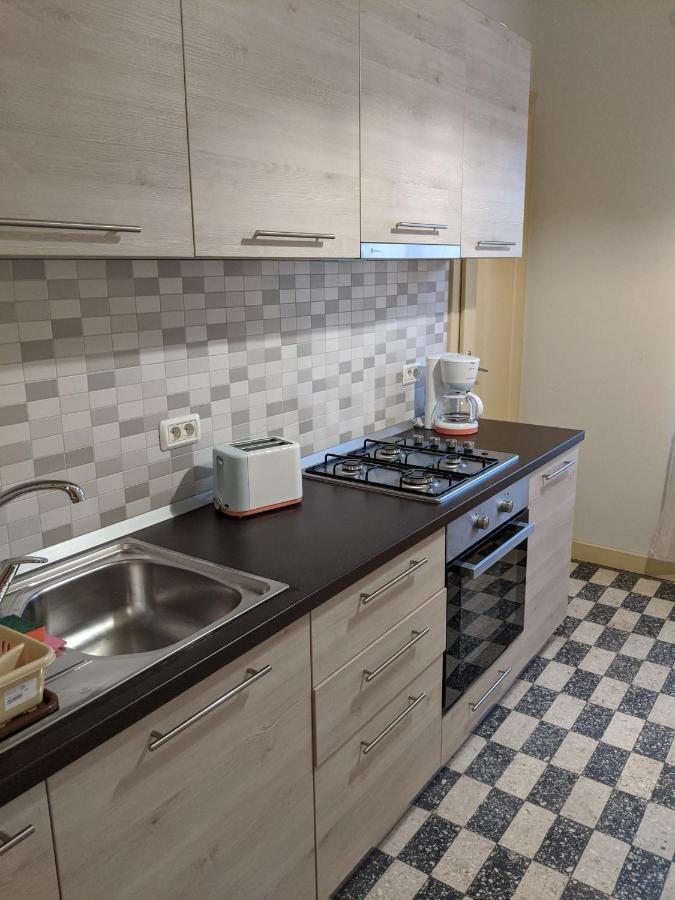 Cristian Apartment Near Old Town Timişoara Extérieur photo
