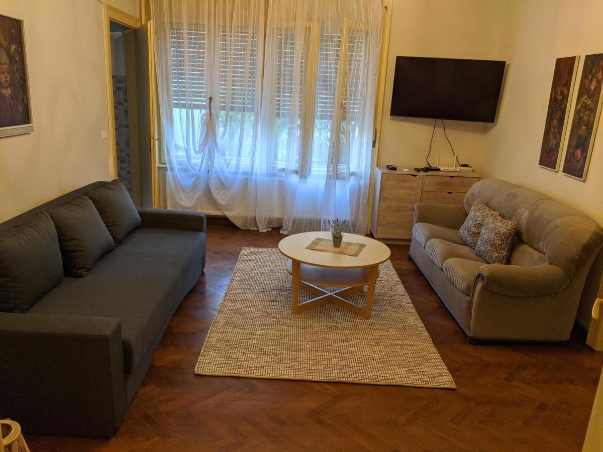 Cristian Apartment Near Old Town Timişoara Extérieur photo