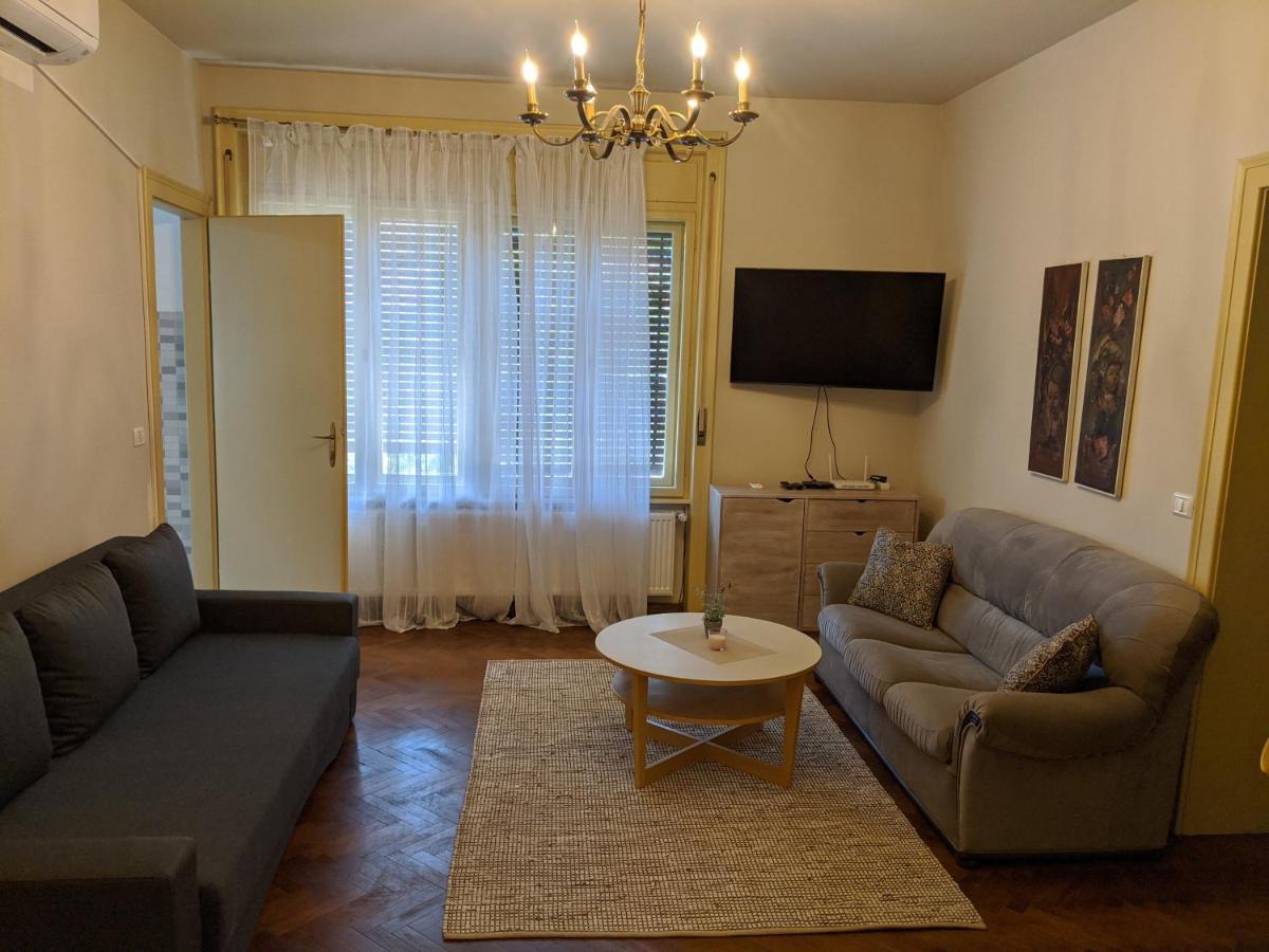 Cristian Apartment Near Old Town Timişoara Extérieur photo